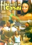 Harusi ya Candy