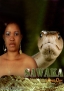 Sawaka Sawaka